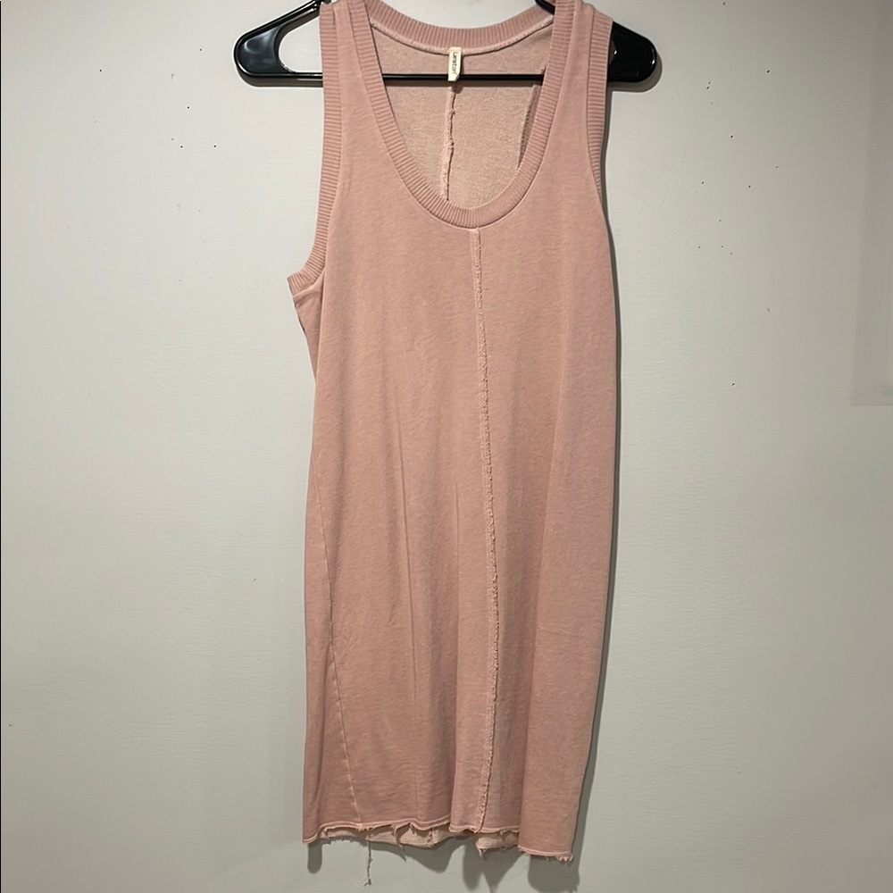 Lanston Blush dress